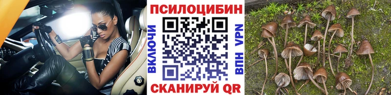 хочу наркоту  нарко площадка клад  Псилоцибиновые грибы Magic Shrooms  Партизанск 